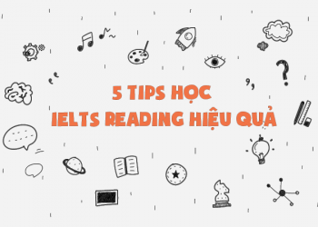 5 tips học IELTS Reading hiệu quả
